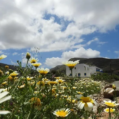 Kasos Summer Retreat - Aeriko Sunny Escape *
